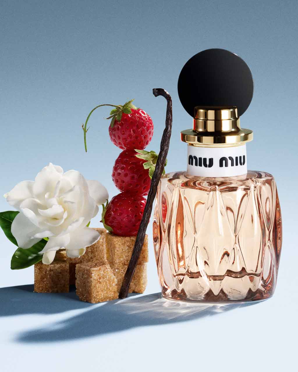 Vanilla bean and brown sugar cubes - fragrance notes